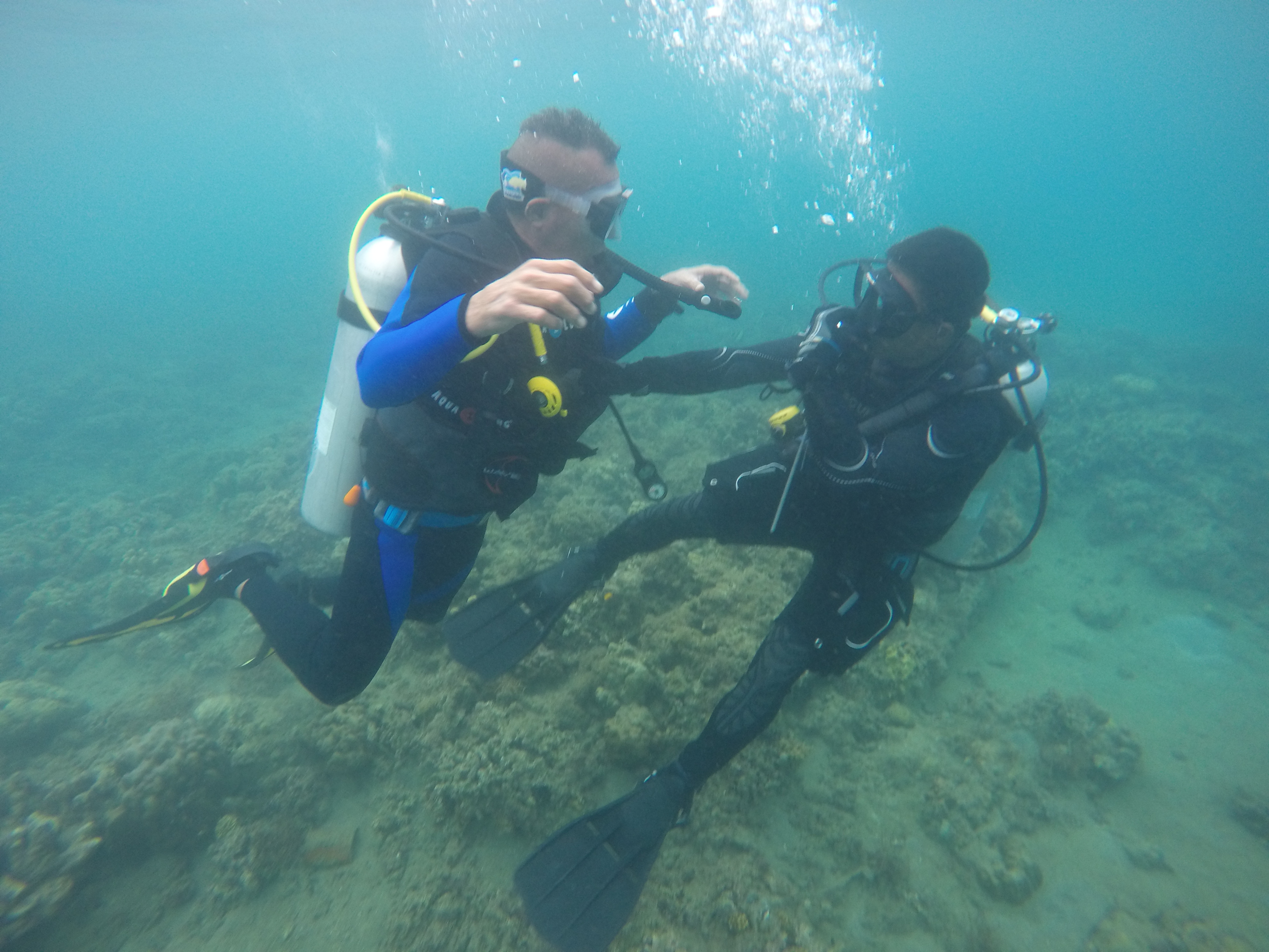 Water activities at Anilao Awari Bay